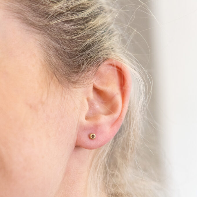 Goldohrstecker Serie MINI